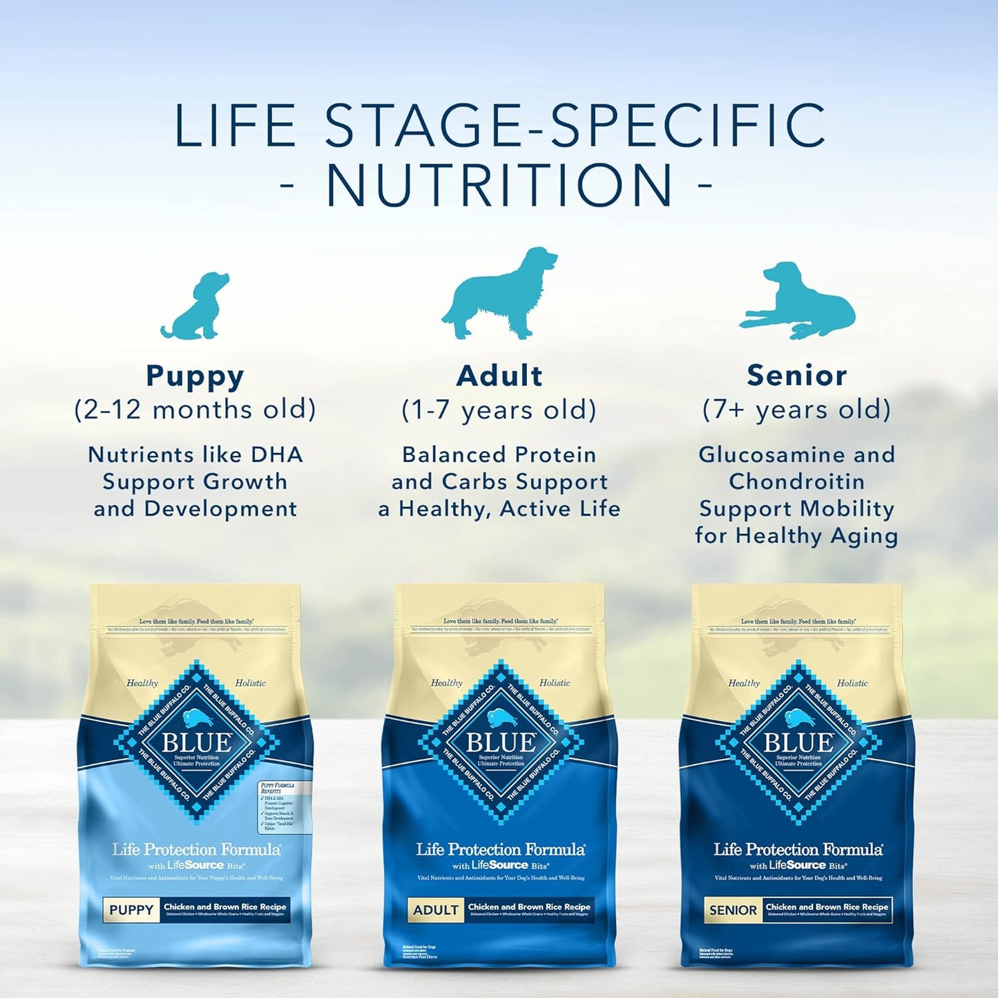 Blue Buffalo Life Protection Formula Natural Adult Dry Dog Food | Chicken and Brown Rice |15-lb